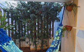 Lindo apartamento e muito bem localizado